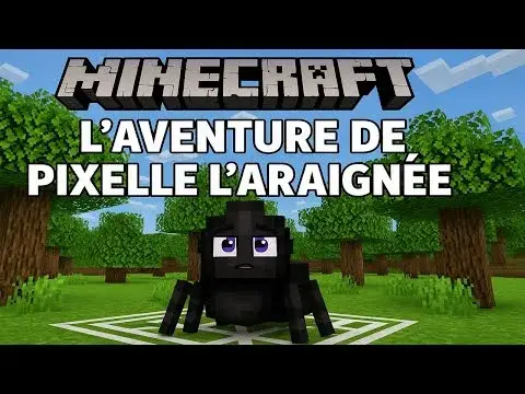 Le Creeper qui Voulait des Amis : Minecraft et l'Inclusion ⛏️